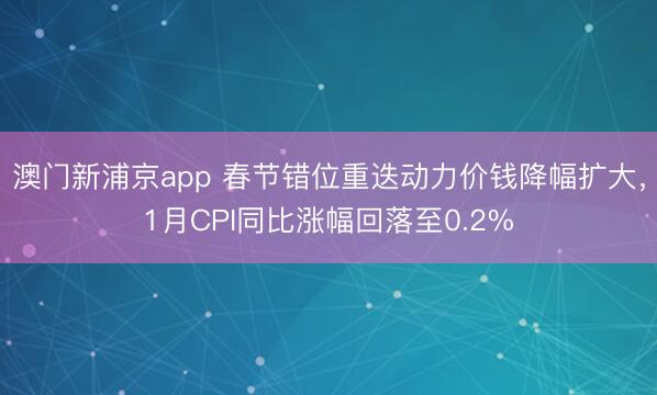 澳门新浦京app 春节错位重迭动力价钱降幅扩大，1月CPI同比涨幅回落至0.2%