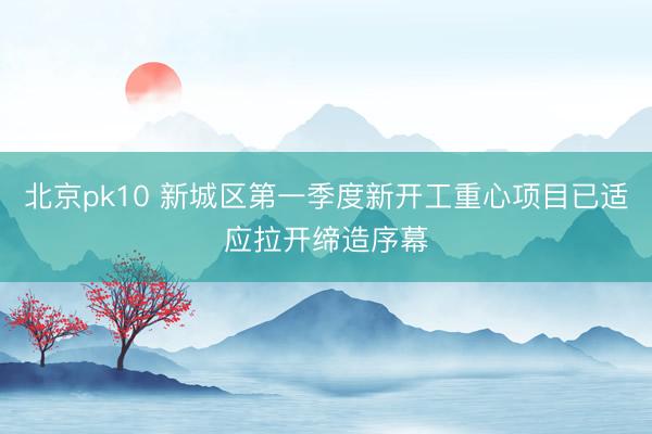 北京pk10 新城区第一季度新开工重心项目已适应拉开缔造序幕